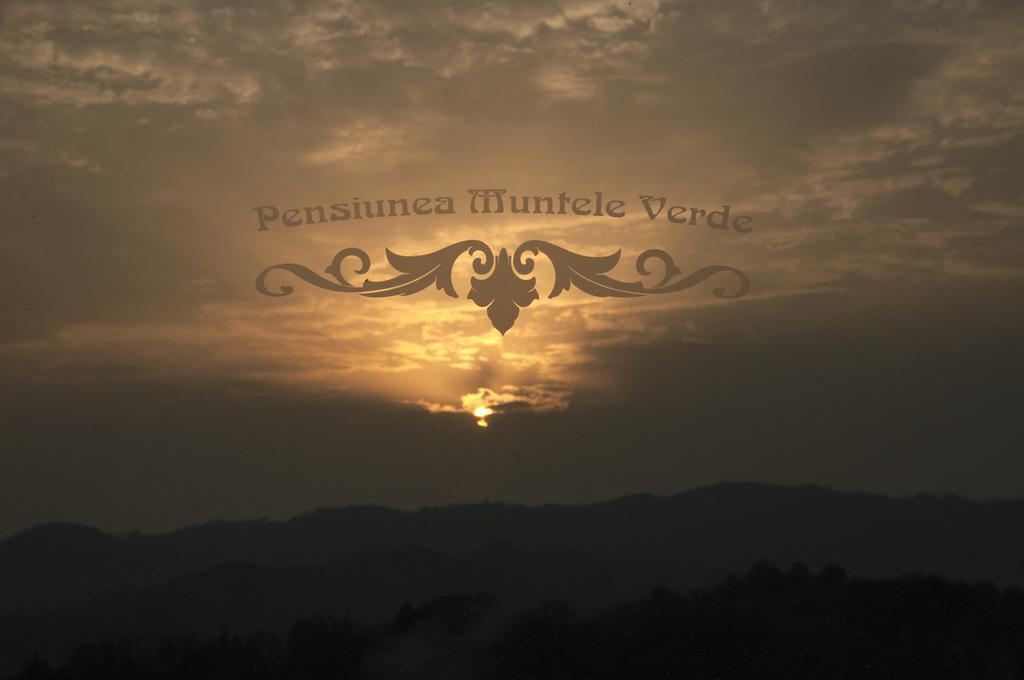 Pensiunea Muntele Verde Slănic Exterior foto