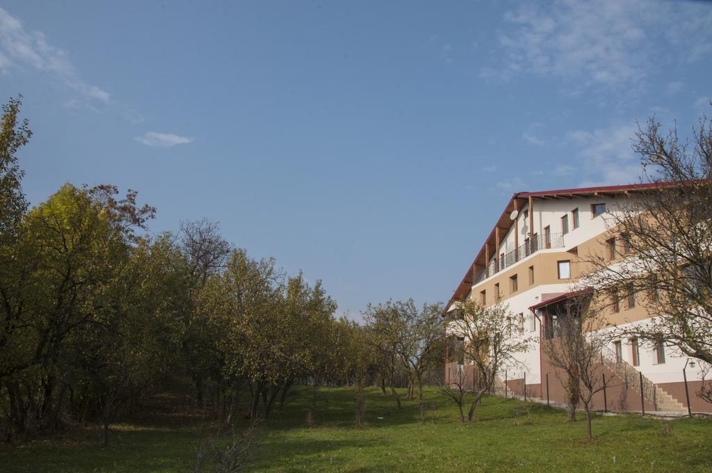 Pensiunea Muntele Verde Slănic Exterior foto