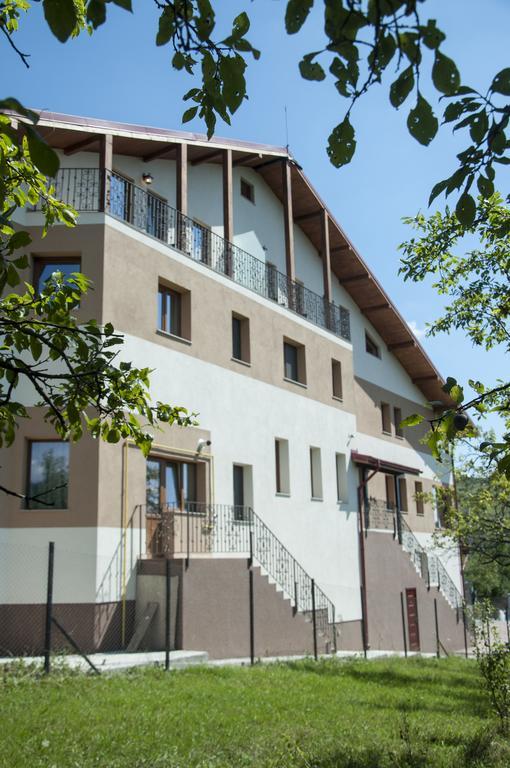 Pensiunea Muntele Verde Slănic Exterior foto