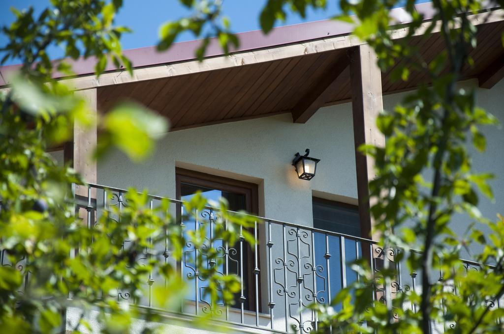Pensiunea Muntele Verde Slănic Exterior foto