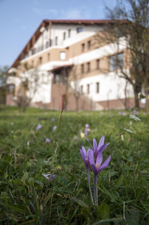 Pensiunea Muntele Verde Slănic Exterior foto