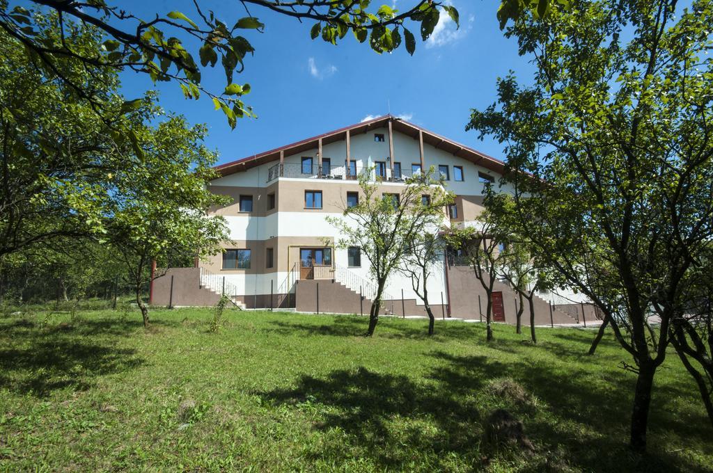 Pensiunea Muntele Verde Slănic Exterior foto